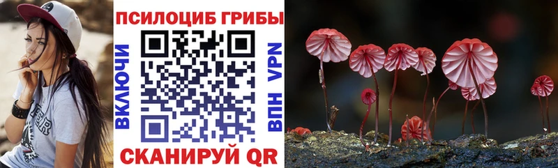 что такое наркотик Апшеронск Галлюциногенные грибы Psilocybine cubensis